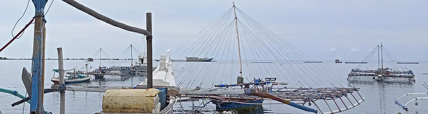 lovina beach bali tour essential interesting attractions in singaraja