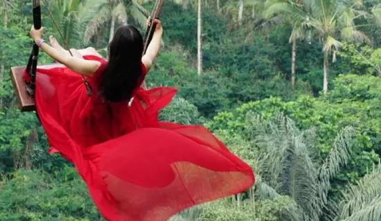 essential ubud bali tour package services