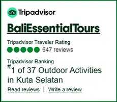 bali essential tours on trivadvisor